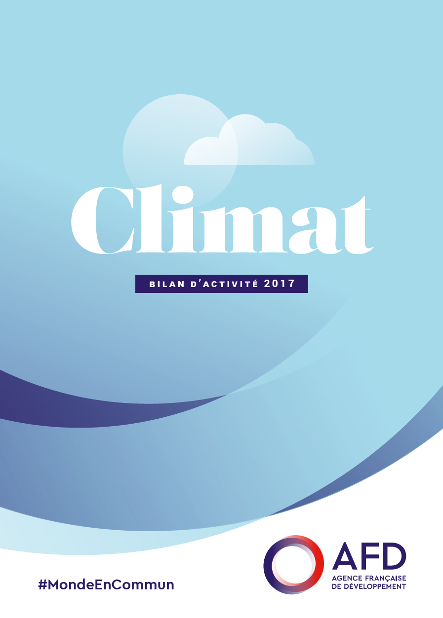 bilan activité climat AFD 2017
