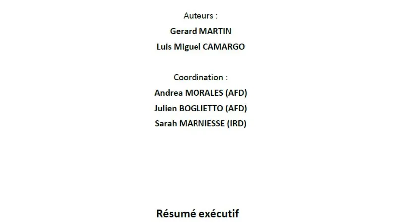 résumé exécutif ALC violences